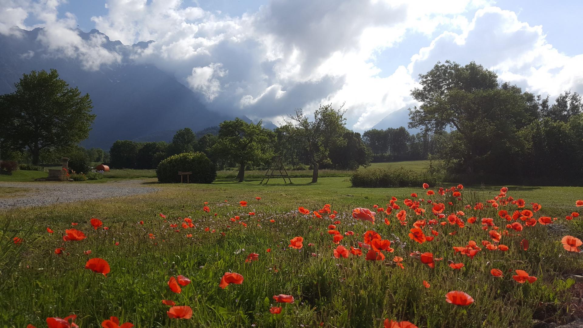 Le Champ des cimes