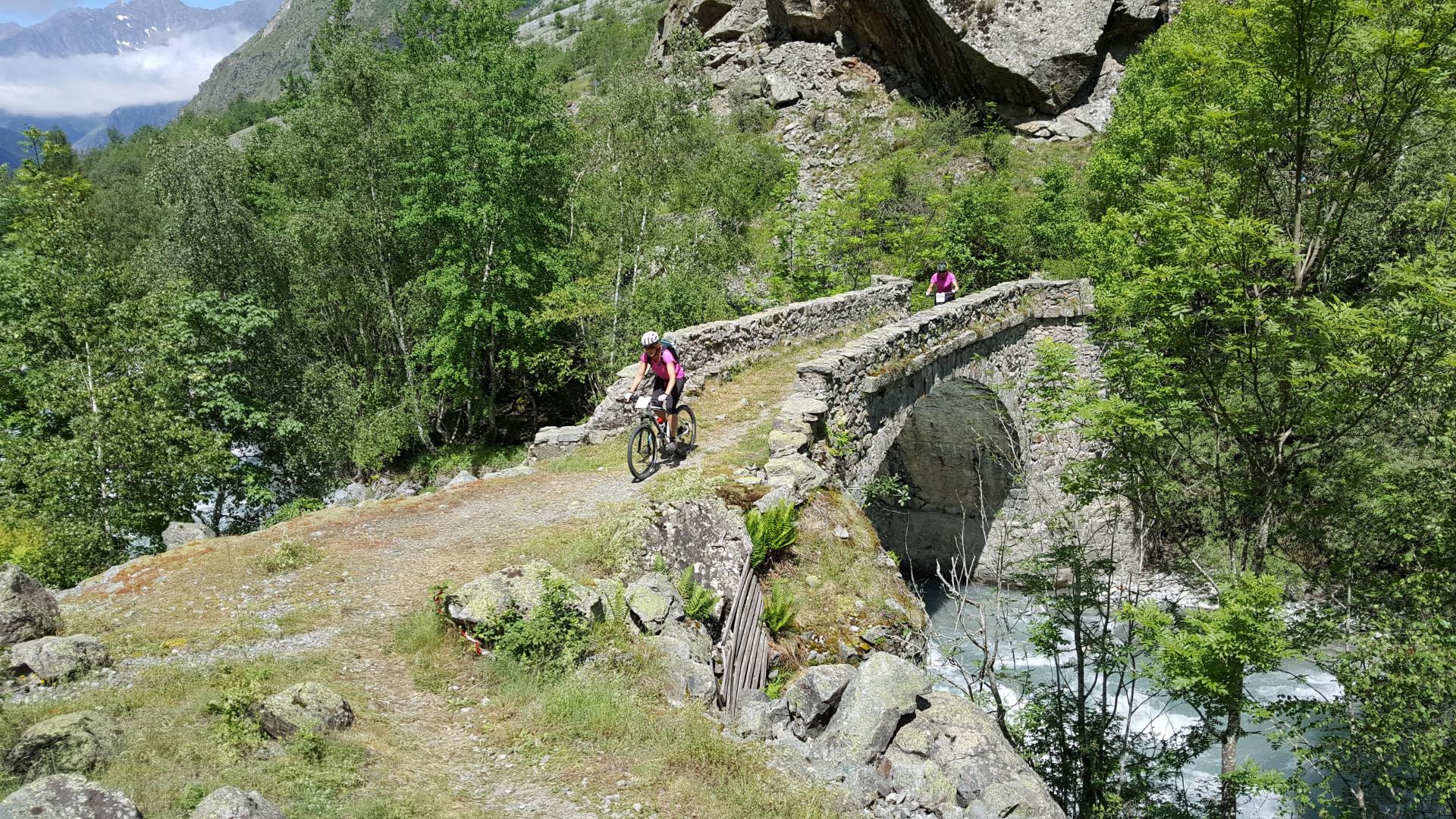 Le Champ des cimes